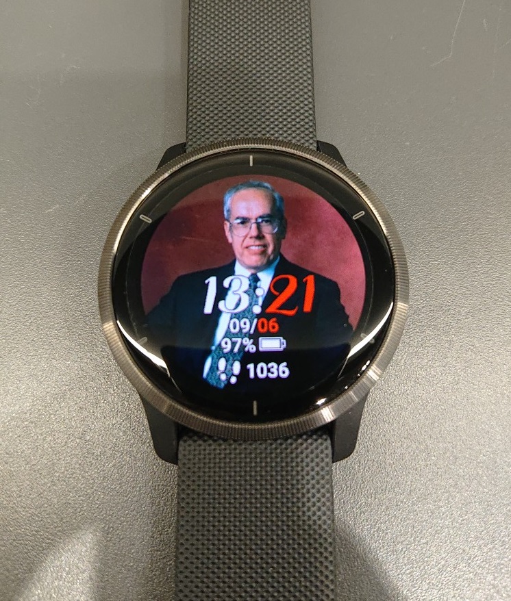Garmin GLO2 動作確認済み(バッテリーなし) Garmin GLO2 動作確認済み(バッテリーなし) - メルカリ